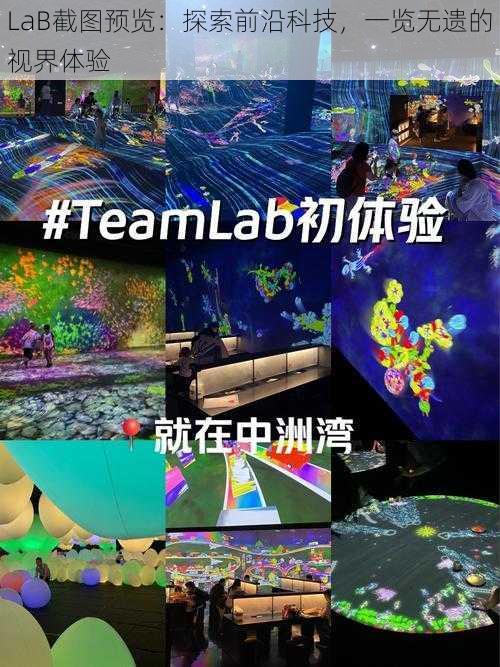 LaB截图预览：探索前沿科技，一览无遗的视界体验