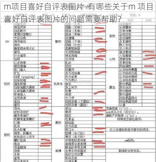 m项目喜好自评表图片-有哪些关于m 项目喜好自评表图片的问题需要帮助？