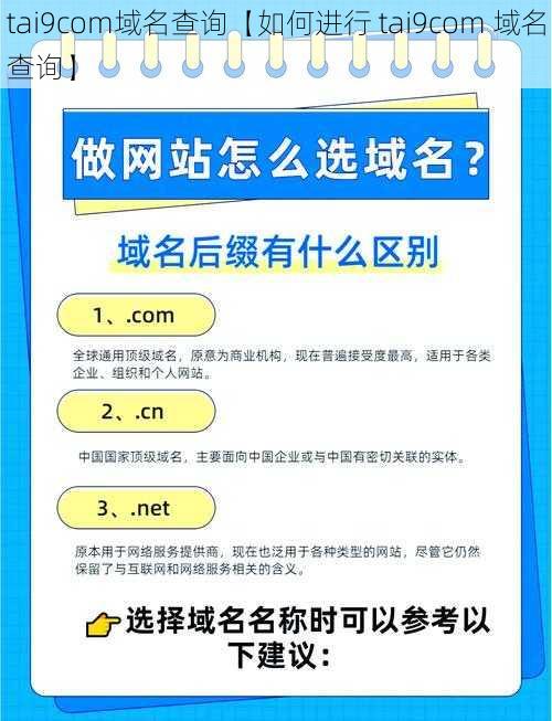 tai9com域名查询【如何进行 tai9com 域名查询】