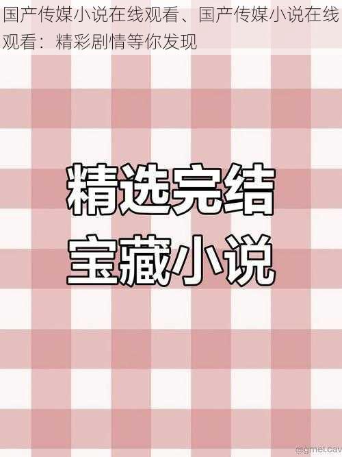 国产传媒小说在线观看、国产传媒小说在线观看：精彩剧情等你发现