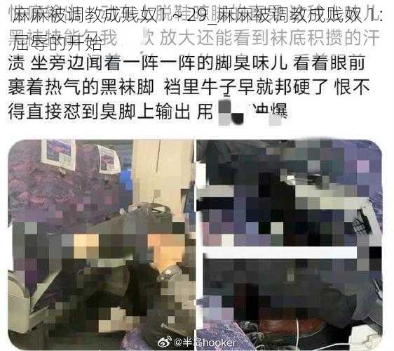 麻麻被调教成贱奴1～29_麻麻被调教成贱奴 1：屈辱的开始