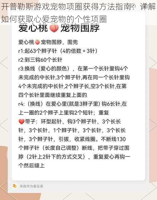 开普勒斯游戏宠物项圈获得方法指南：详解如何获取心爱宠物的个性项圈