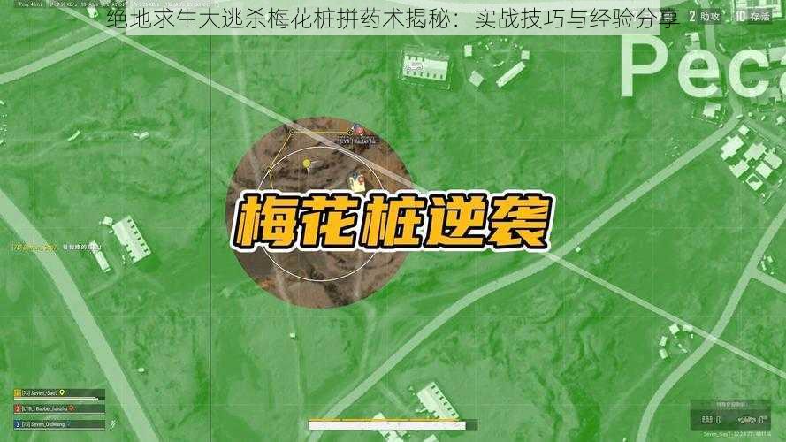 绝地求生大逃杀梅花桩拼药术揭秘：实战技巧与经验分享