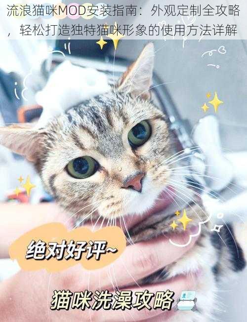 流浪猫咪MOD安装指南：外观定制全攻略，轻松打造独特猫咪形象的使用方法详解