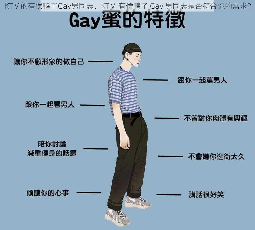 KTⅤ的有偿鸭子Gay男同志、KTⅤ 有偿鸭子 Gay 男同志是否符合你的需求？