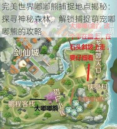 完美世界嘟嘟熊捕捉地点揭秘：探寻神秘森林，解锁捕捉萌宠嘟嘟熊的攻略