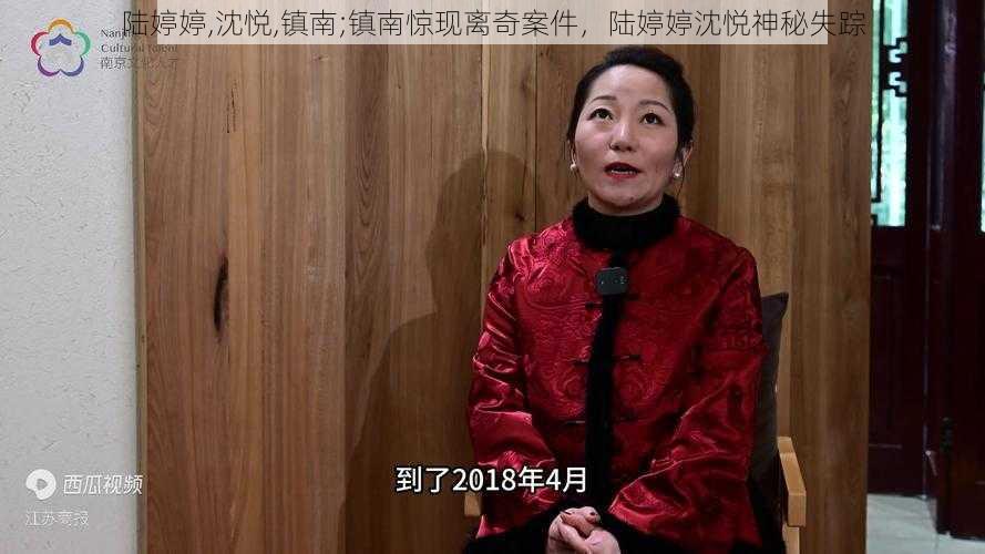 陆婷婷,沈悦,镇南;镇南惊现离奇案件，陆婷婷沈悦神秘失踪