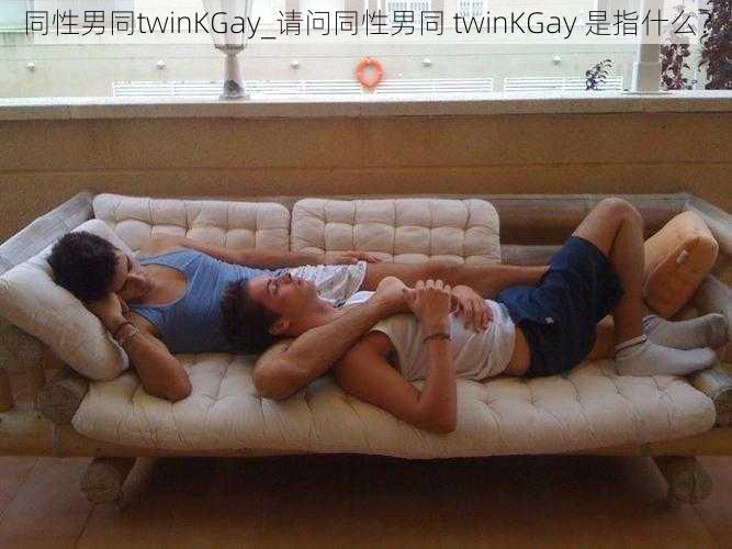 同性男同twinKGay_请问同性男同 twinKGay 是指什么？