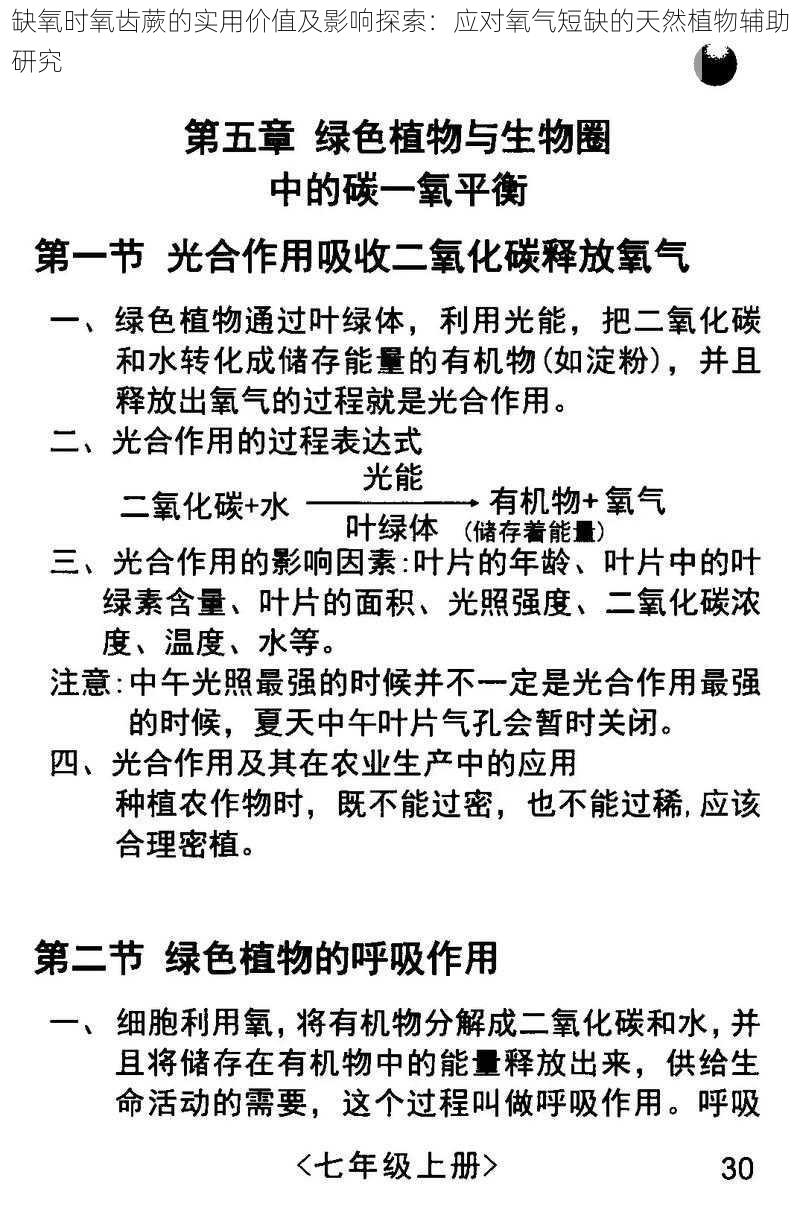 缺氧时氧齿蕨的实用价值及影响探索：应对氧气短缺的天然植物辅助研究