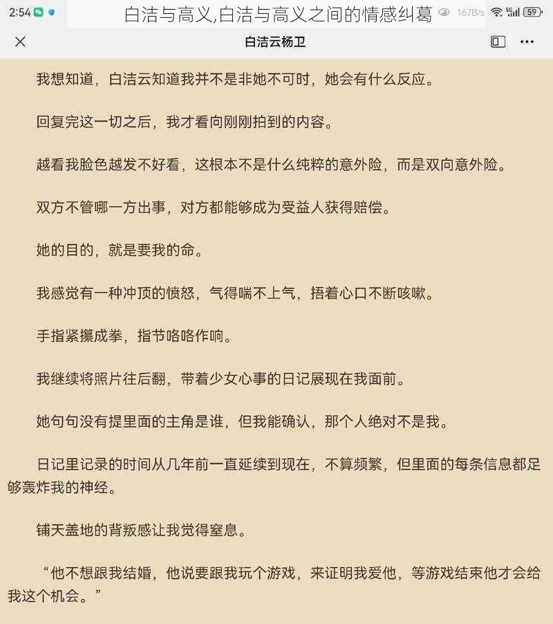 白洁与高义,白洁与高义之间的情感纠葛