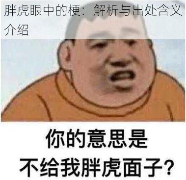 胖虎眼中的梗：解析与出处含义介绍