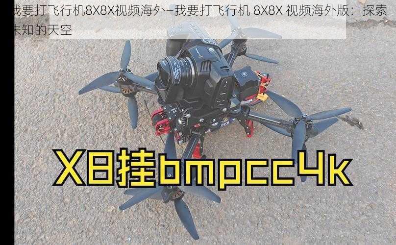 我要打飞行机8X8X视频海外—我要打飞行机 8X8X 视频海外版：探索未知的天空