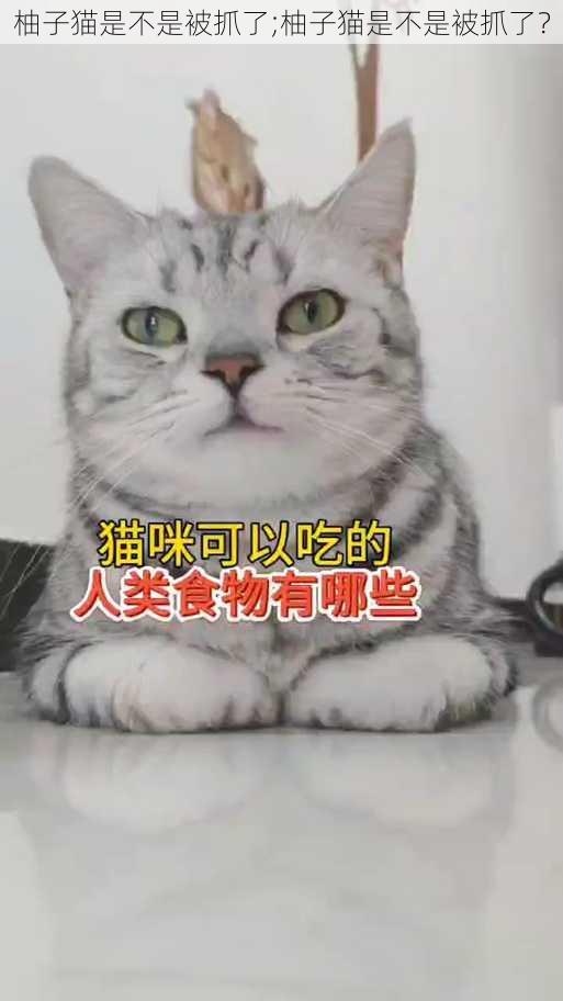 柚子猫是不是被抓了;柚子猫是不是被抓了？