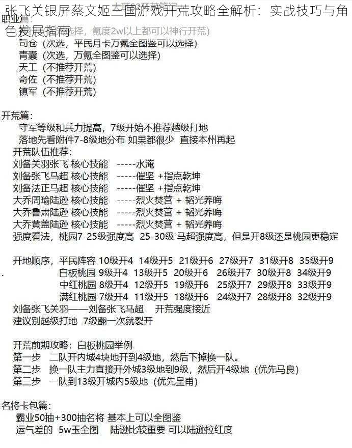 张飞关银屏蔡文姬三国游戏开荒攻略全解析：实战技巧与角色发展指南