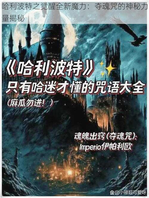 哈利波特之觉醒全新魔力：夺魂咒的神秘力量揭秘