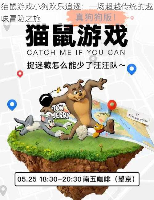 猫鼠游戏小狗欢乐追逐：一场超越传统的趣味冒险之旅