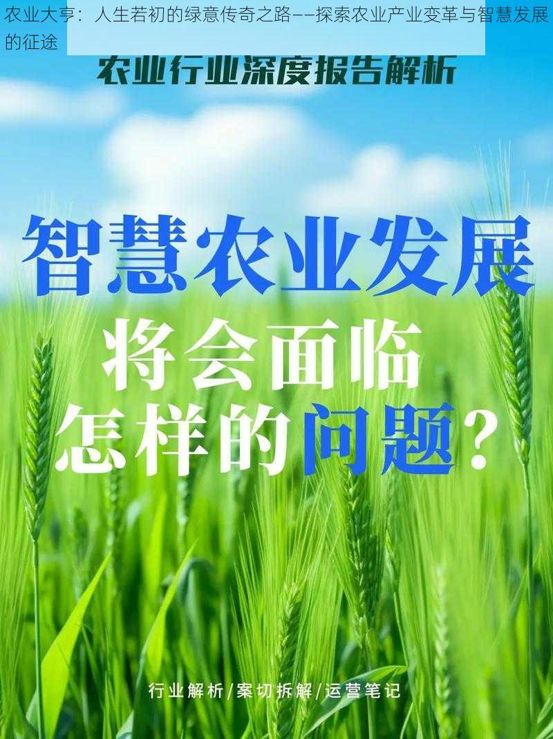 农业大亨：人生若初的绿意传奇之路——探索农业产业变革与智慧发展的征途