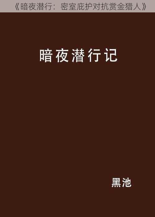 《暗夜潜行：密室庇护对抗赏金猎人》