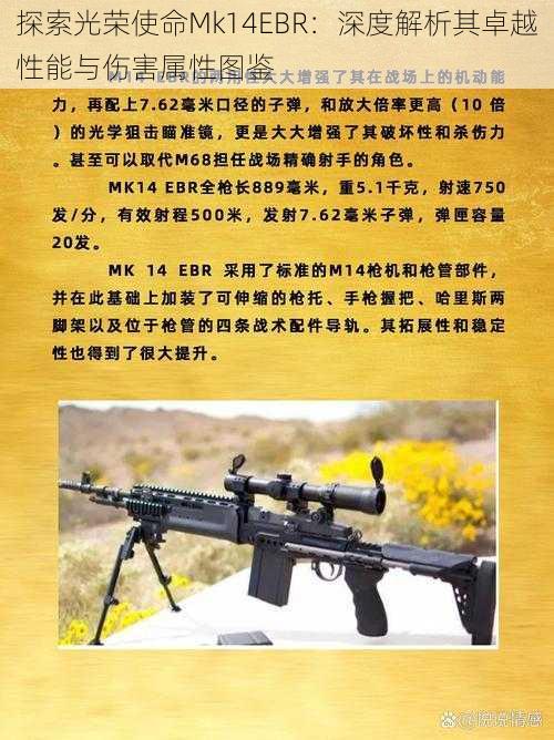 探索光荣使命Mk14EBR：深度解析其卓越性能与伤害属性图鉴